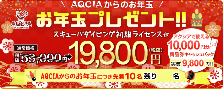 AQCIAからのお年玉プレゼント!スキューバダイビング初級ライセンスが 19,800円 先着10名様