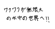 一言