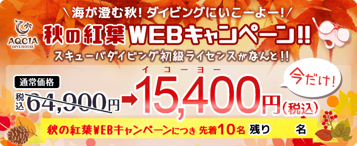 秋の紅葉キャンペーン！海が澄む秋！ダイビングにいこーよー！スキューバダイビングの初級ライセンスがなんと15400円！先着10名