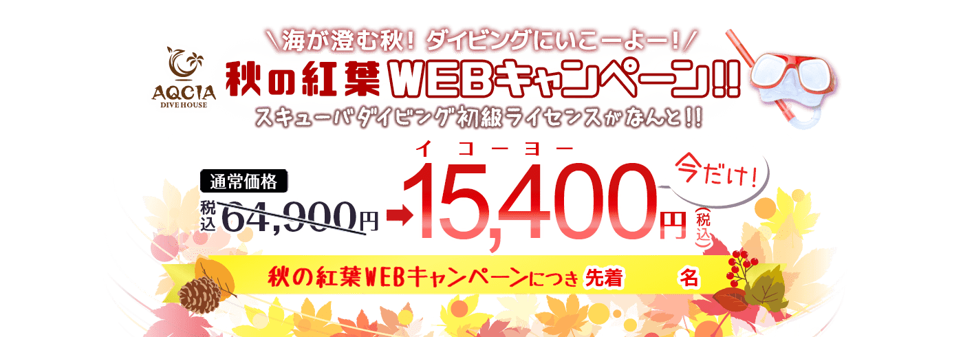 秋の紅葉キャンペーン！海が澄む秋！ダイビングにいこーよー！スキューバダイビングの初級ライセンスがなんと15400円！先着10名