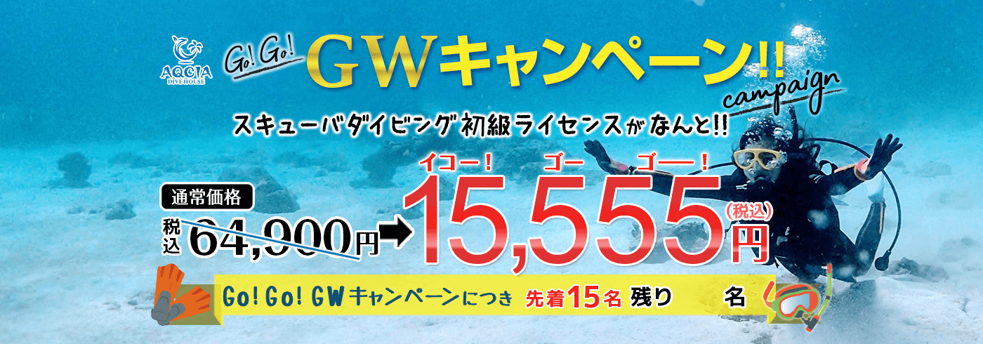 Go!Go!GWキャンペーン スキューバダイビング初級ライセンスが 15,555円(税込) 先着15名様