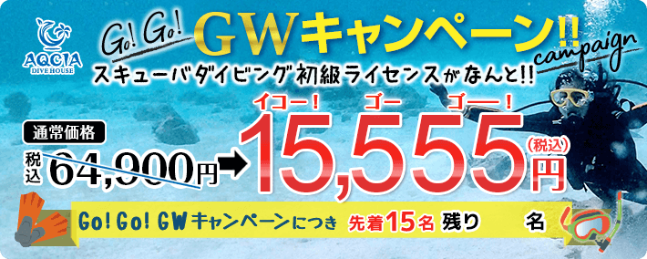 Go!Go!GWキャンペーン スキューバダイビング初級ライセンスが 15,555円(税込) 先着15名様