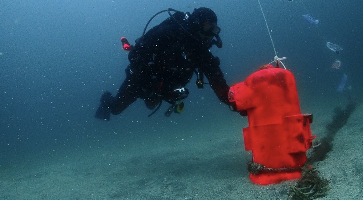 サムネイル：IOPFD