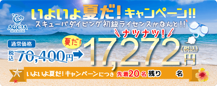 いよいよ夏だキャンペーン スキューバダイビング初級ライセンスが 17,272円(税込) 先着20名様