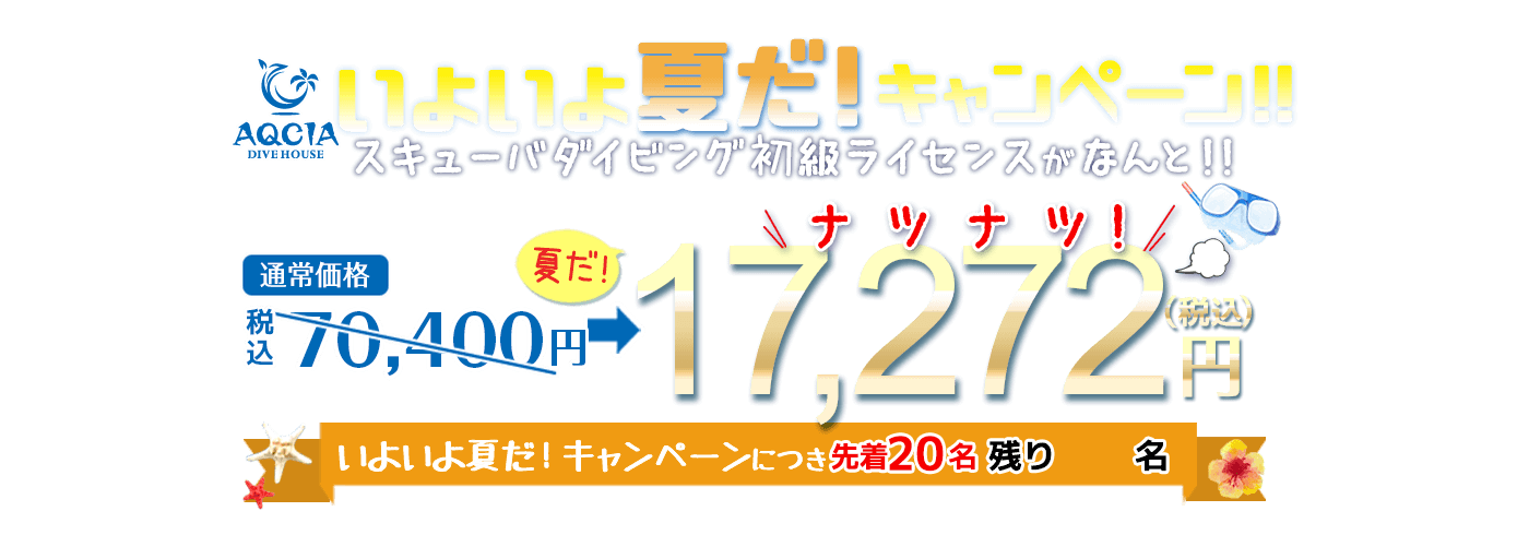 いよいよ夏だキャンペーン スキューバダイビング初級ライセンスが 17,272円(税込) 先着20名様