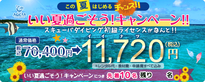 【先着10名様限定】いい夏過ごそう！キャンペーン開催中！スキューバダイビング初級ライセンス取得キャンペーン