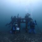 スペシャルFD in 大瀬崎