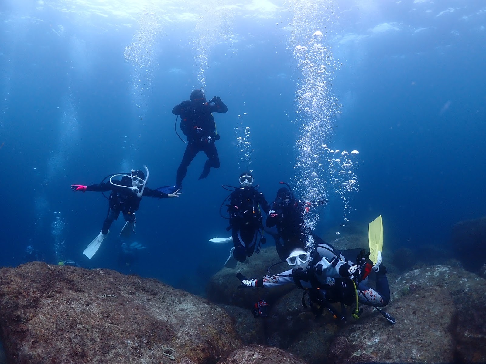 サムネイル：川奈FD