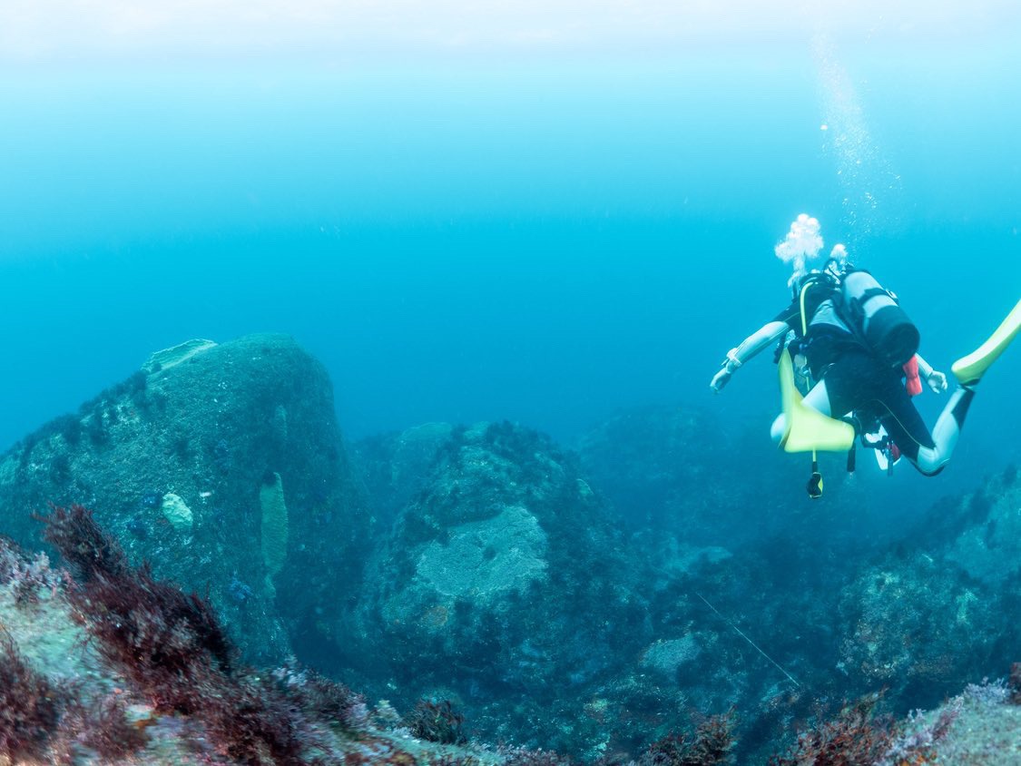 サムネイル：杉本ファンダイブ in 赤沢