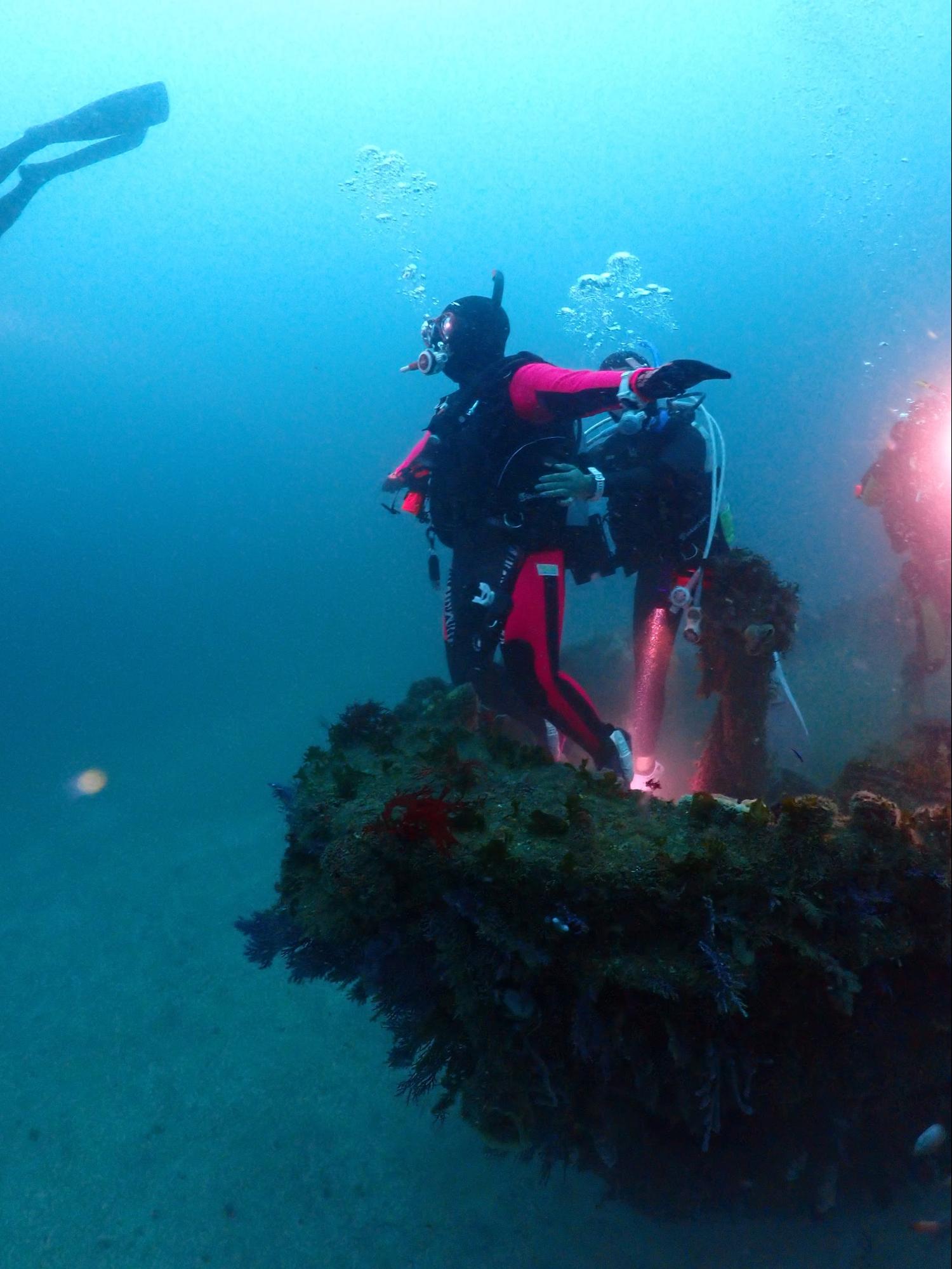 サムネイル：沈没船！洞窟！冬といったら熱海！！！