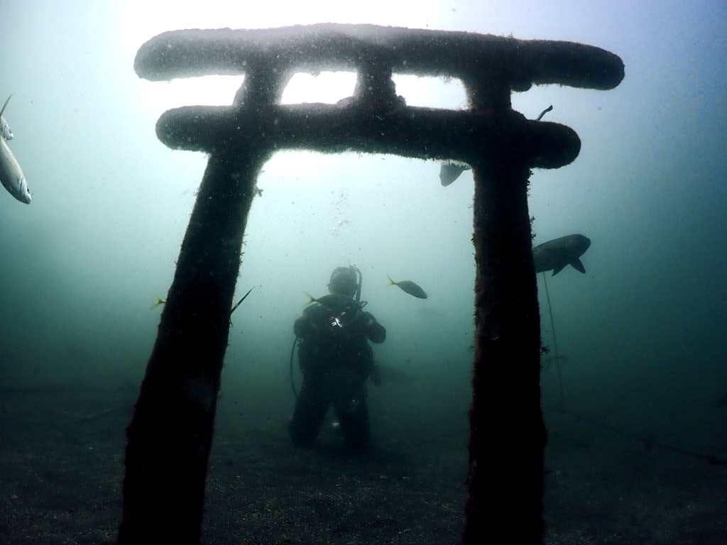 サムネイル：ビギナーFD