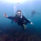 宇佐美ファンダイブ