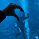 水族館ファンダイブ