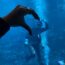 水族館ファンダイブ
