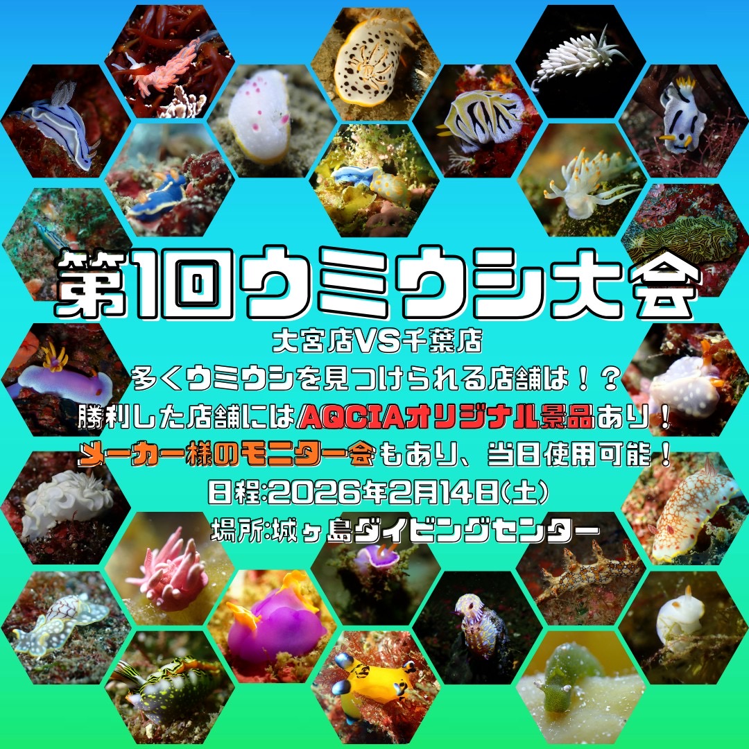 サムネイル：第1回 AQCIAウミウシ大会
