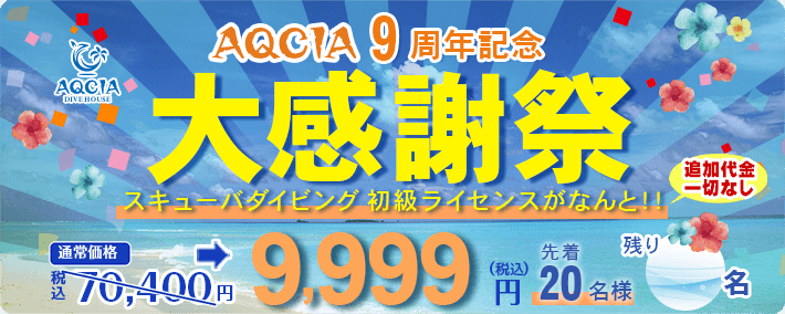 AQCIA9周年記念大感謝祭 スキューバダイビング初級ライセンスがなんと！！9,999円